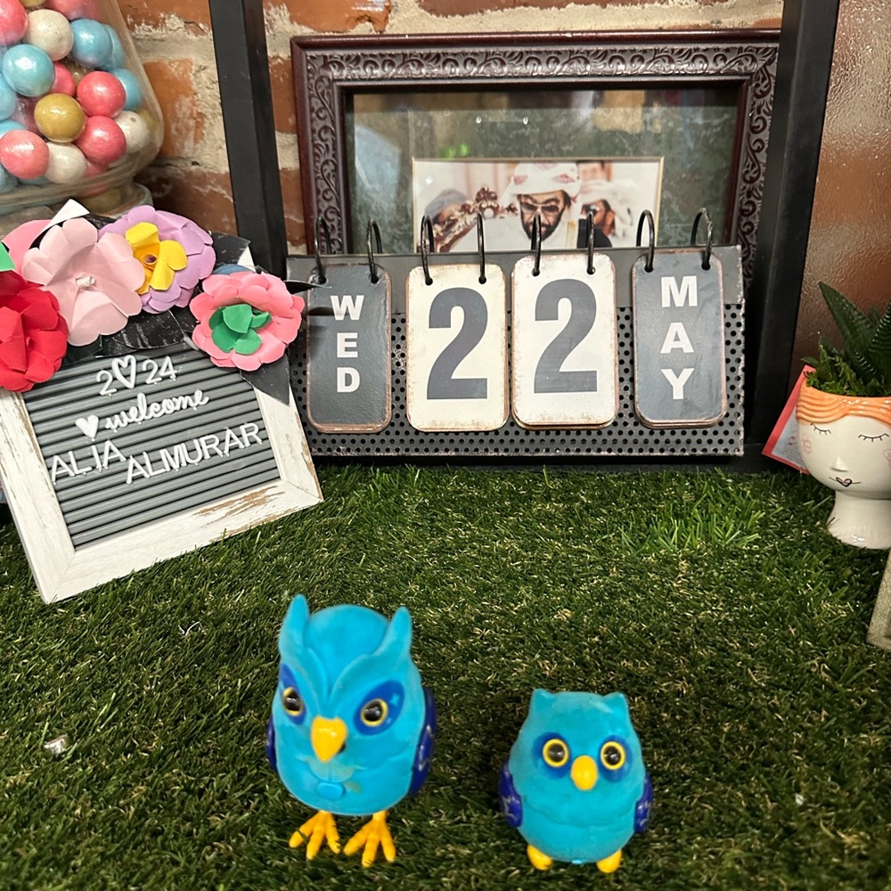Little Live Pets S2 Tweet Talking Owl and
Baby - Nightstar Family X×3